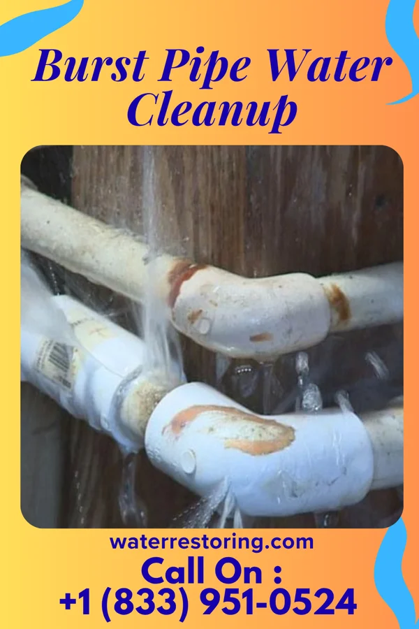 Burst Pipe Water Cleanup in Drakesboro, KY