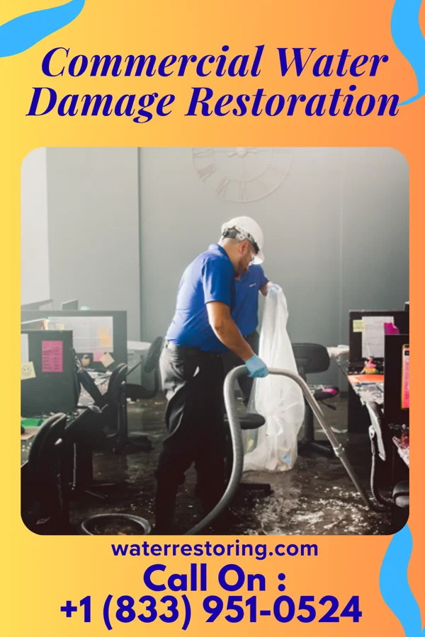 Commercial Water Damage Restoration in Drakesboro, KY